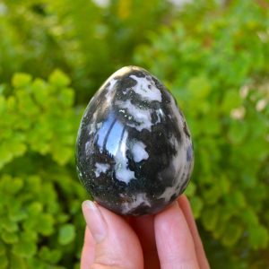 Ou Agat Muschi Natural 5.5cm
