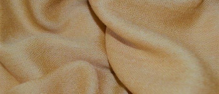 Pashmina62